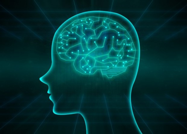 実験医学別冊 もっとよくわかる シリーズ 改訂版 もっとよくわかる 脳神経科学 やっぱり脳はとってもスゴイのだ 羊土社